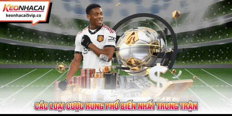 Các loại cược rung phổ biến nhất trong trận