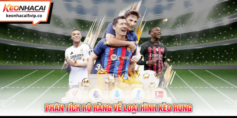 Phân tích rõ ràng về loại hình kèo rung